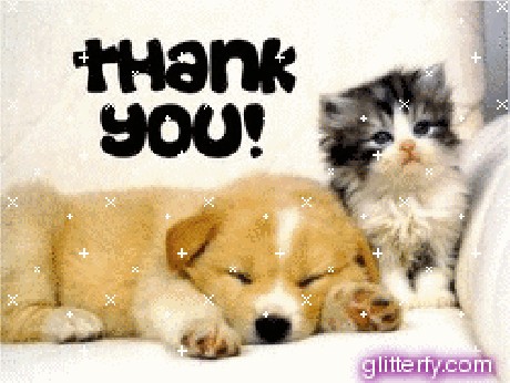 thank-you-obrazok.jpg
